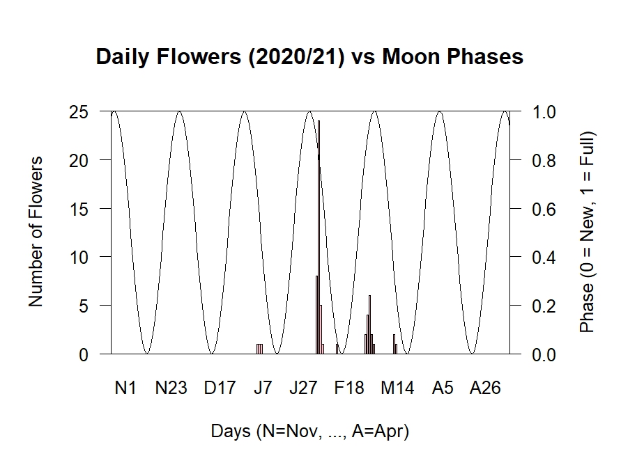 Flowers vs Moon Phases 2020/21